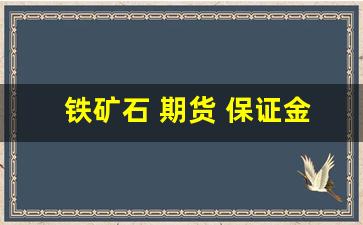 铁矿石 期货 保证金(铁矿石期货保证金比例达到20%)_https://www.xzdzcjn.com_科创板_第1张